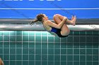 Diving vs USCGA  Wheaton College Swimming & Diving vs US Coast Guard Academy. - Photo By: KEITH NORDSTROM : Wheaton, Swimming, Diving